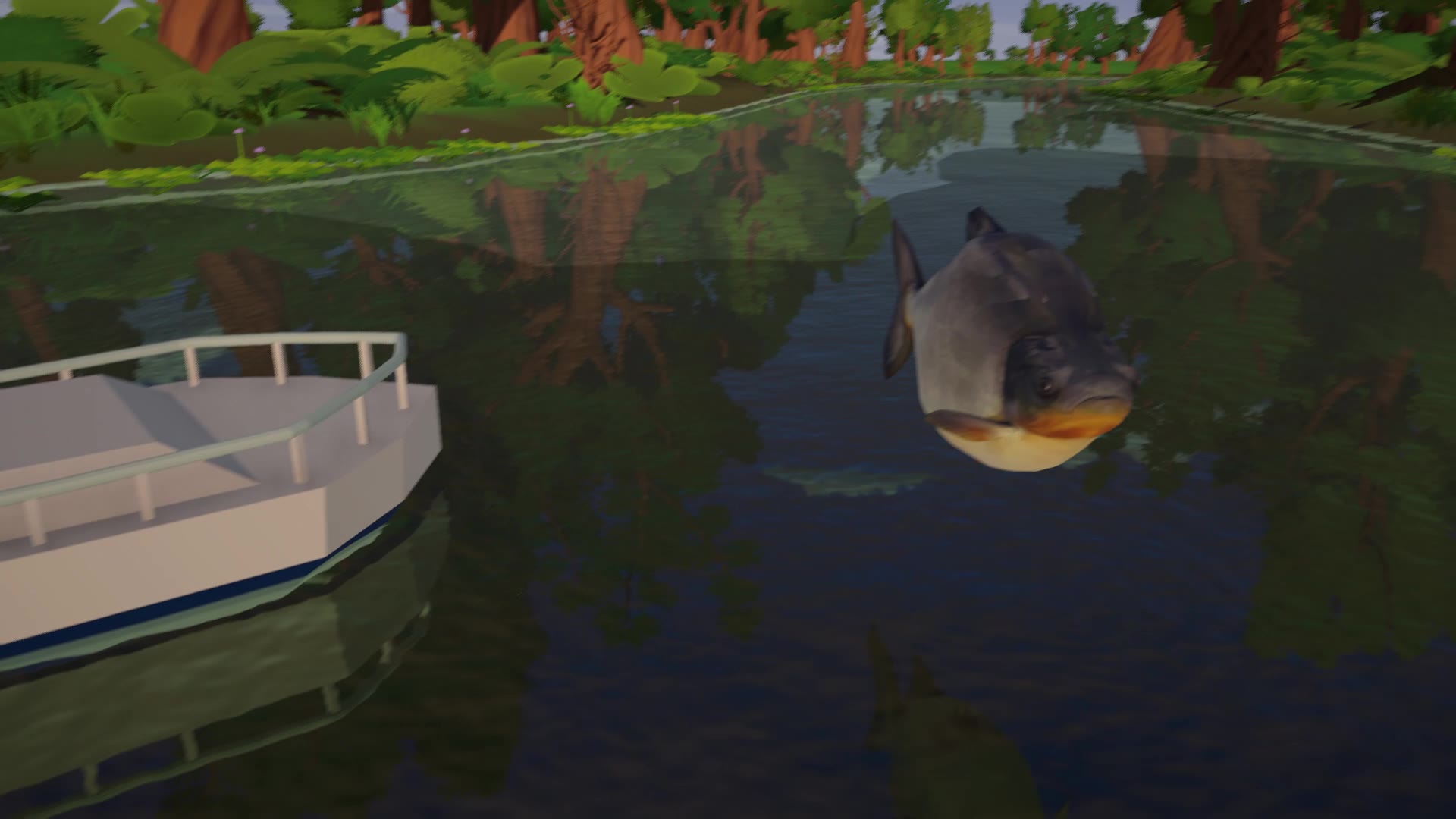 Pacu saindo da água no Rio Mutum