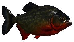 Piranha, retrato do jogo